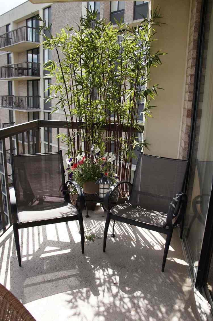 sichtschutz-balkon-bambuspflanzen-schwarze-stuehle