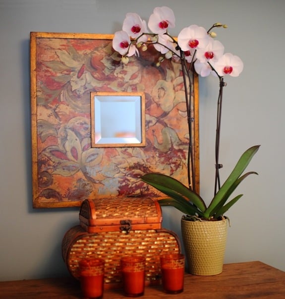 verwenden orange farben zarte weiß orchidee ideen