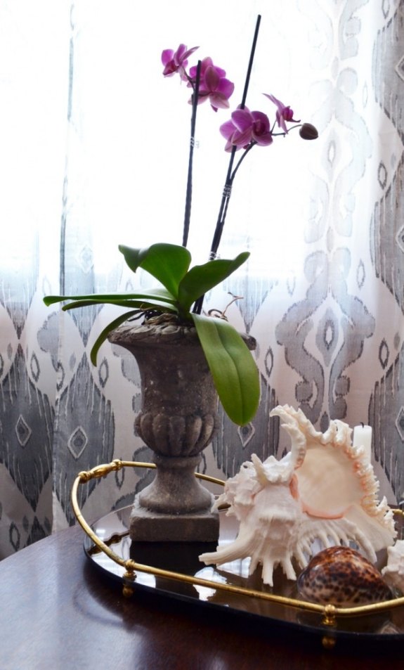  Reihenfolge unserer favoritisierten Tischdeko orchideen