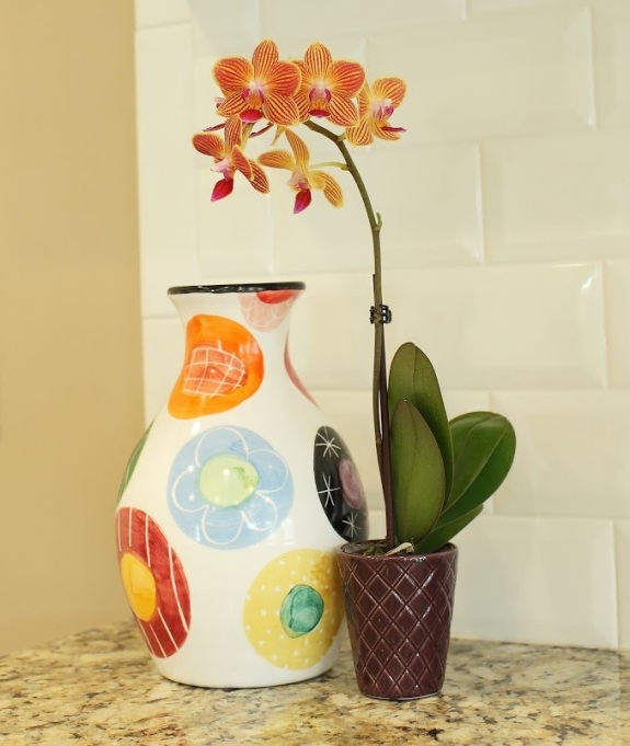 raum wohnung dekorative vase blumentopf orange rot 