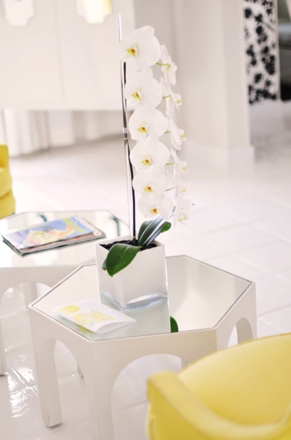 weiß gelb dekor orchidee hell sauber einladend
