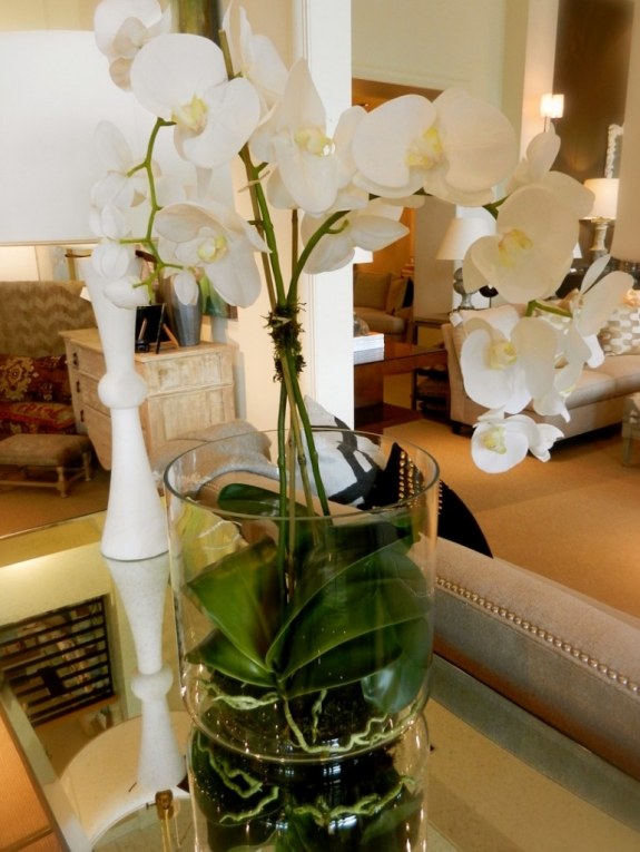 orchidee wohnzimmer dekoration interieur erfrischen weiß blüten