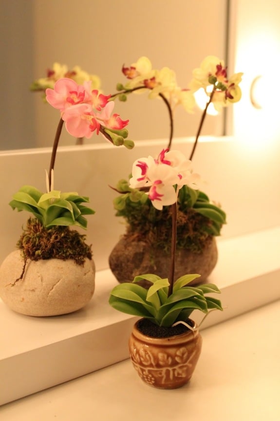 badezimmer orchideen verschiedene arten topf design spiegel