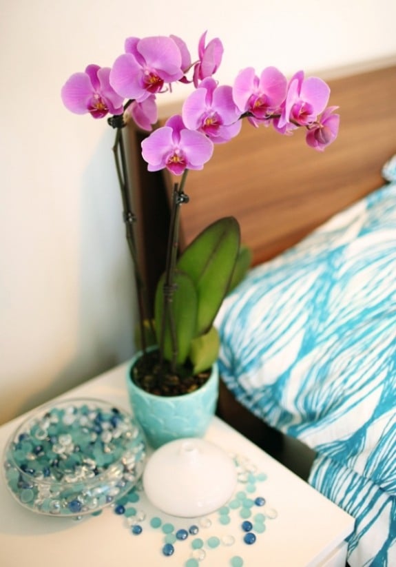 hell lila farbe blaues schlafzimmer bettwäsche ideen 