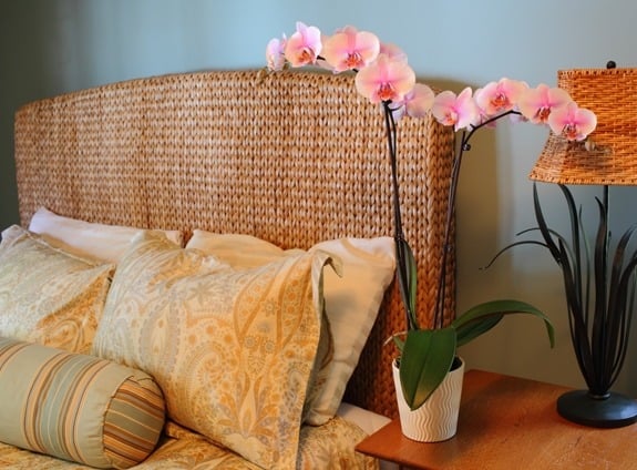 rosa orchidee topf schlafzimmer meer sand exotisch