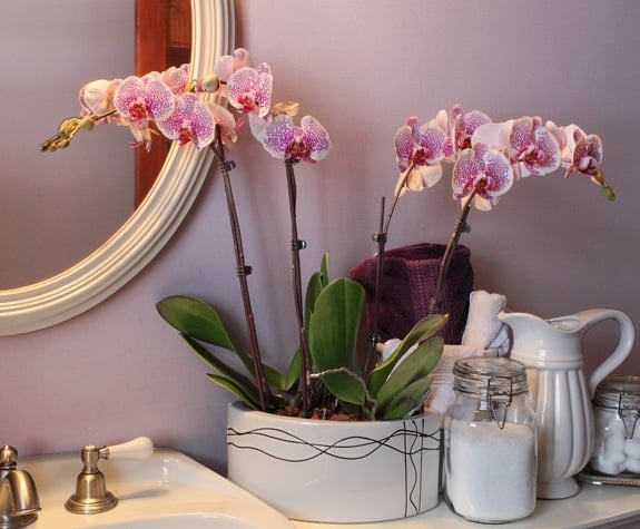 badezimmer ideen lila rosa farben orchideen schön