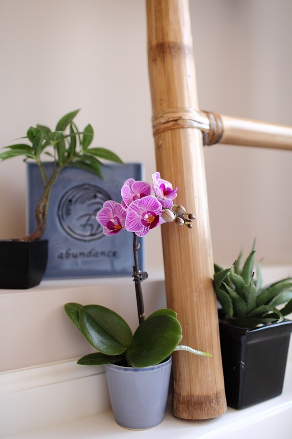orchideen badezimmer frische design ideen ambiente entspannend