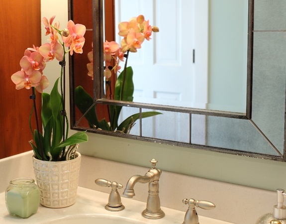 warme farbe orchideen weiß glänzend badezimmer tipps