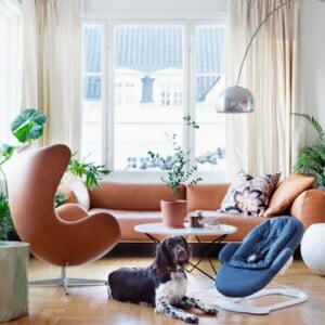 Babymöbel-Design-stokke-steps-wohnzimmer-liegesitz-baby-hund