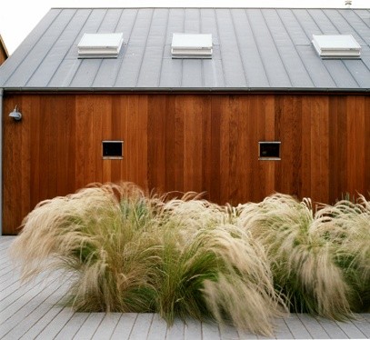 Chinaschilf im Garten Ideen Holz Bodenbelag Terrasse Haus Fassade Landhausstil Holzverkleidung