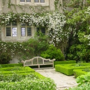 Clematis-Alba-Normandy-weiss-fassade-englischer-garten