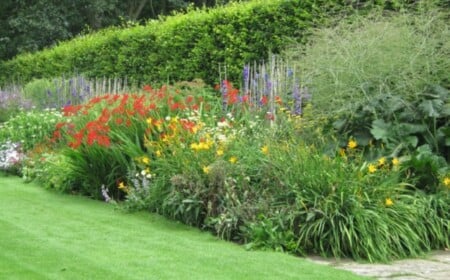 Frühlingslaune Garten Gestaltung Ideen frische Frühlingsblumen gekonnt kombinieren