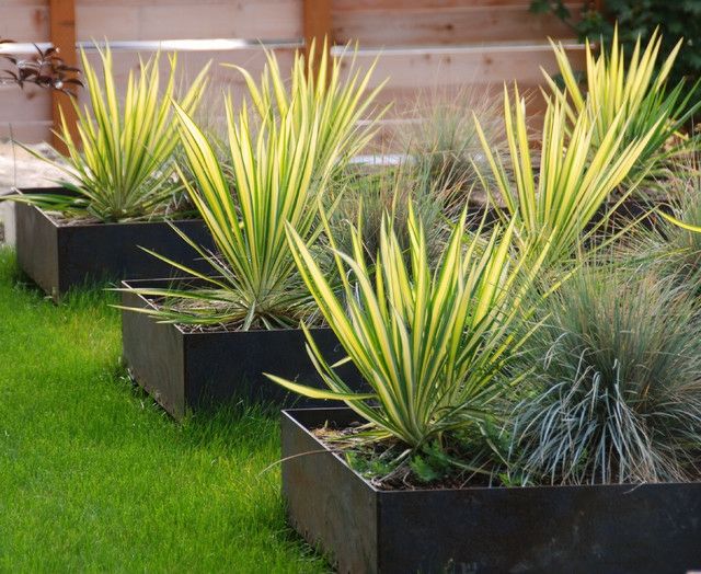 Palmen Hochbeete Metall Zimmerpflanzen Sommer nach draußen bringen
