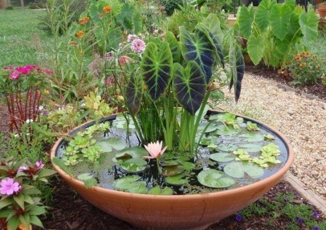 Garten anlegen klein selber machen pflanzen schwimmen ideen
