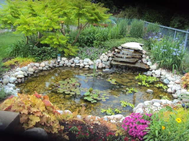 kleiner Garten Brunnen Naturlook Wasserpflanzen