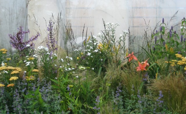 Sommerblumen frische Blüten Wand Mauer