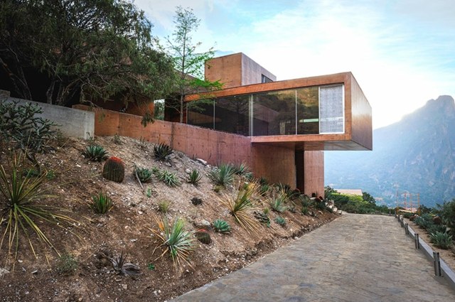 Sukkulenten schönes Gebäude moderne minimalistische Architektur
