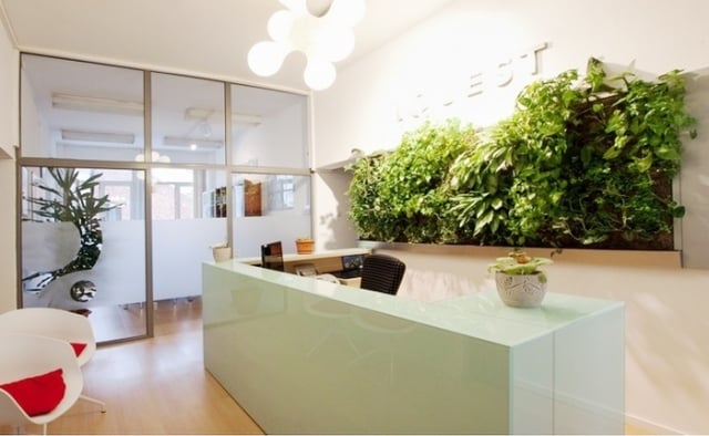 Indoor Pflanzen zu beachtende faktoren Ventilation Klimaanlage Heizungen-trocknen-die Luft