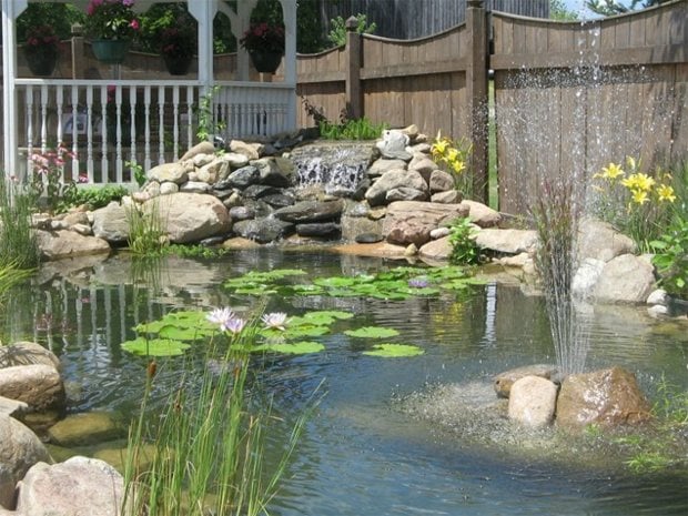 Garten Ideen Beispiele groß Wasserpflanzen Seerosen Schilfrohr