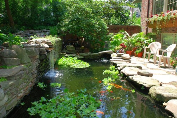Garten Steine Fische Pflanzen Pflegetipps Ideen Wasserfall