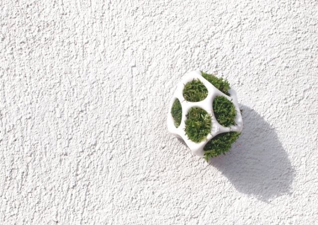 Mini-Pflanzgefäße aus Kunststoff moos anbauen-poröse struktur-von der natur inspiriert