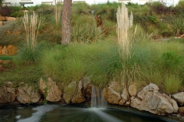 Garten-Design mit Wasserfällen bachläufe bewachsen mit Rohrkolben