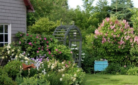 Päonien Garten Blumen Landhausstil Pfingstrosen Strauch Holz Pergola