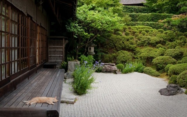 Haus Eingang stilvoll gestalten Beispiele Fotos Kleingarten