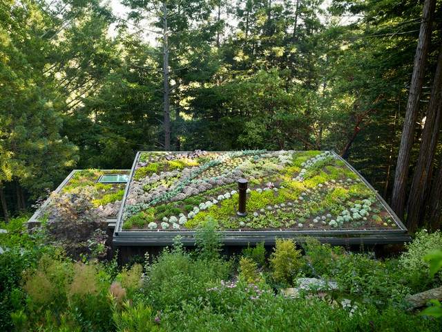 bepflanztes Dach originelle umweltfreundliche Idee