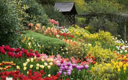 Traumgarten Sommer Gestaltung Ideen frische Blumen grundlegende Elemente