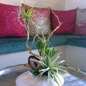 arrangement-vase-zweig-tillandsien-wohnzimmer-tisch