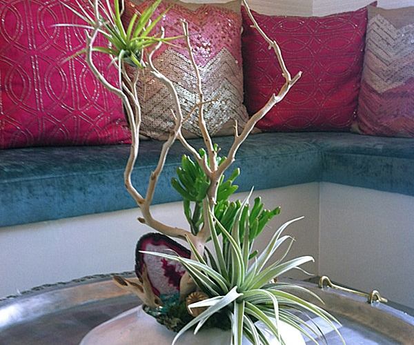 arrangement-vase-zweig-tillandsien-wohnzimmer-tisch