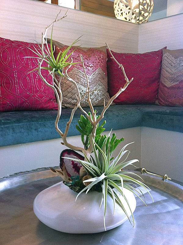 arrangement vase zweig tillandsien wohnzimmer tisch
