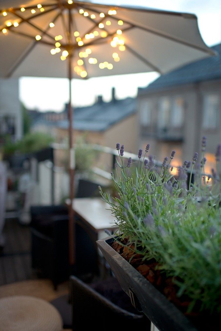 balkonpflanzen arrangieren lavendel-balkonkasten-sonnenschirm-lichterketten