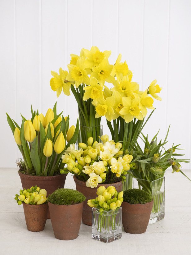 Blumen-Deko im Frühling zuhause gelbe tulpen narzisse