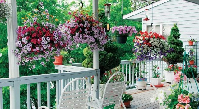 Hängepflanzen in Blumenampeln deko pflanzen veranda balkon prachtvoll