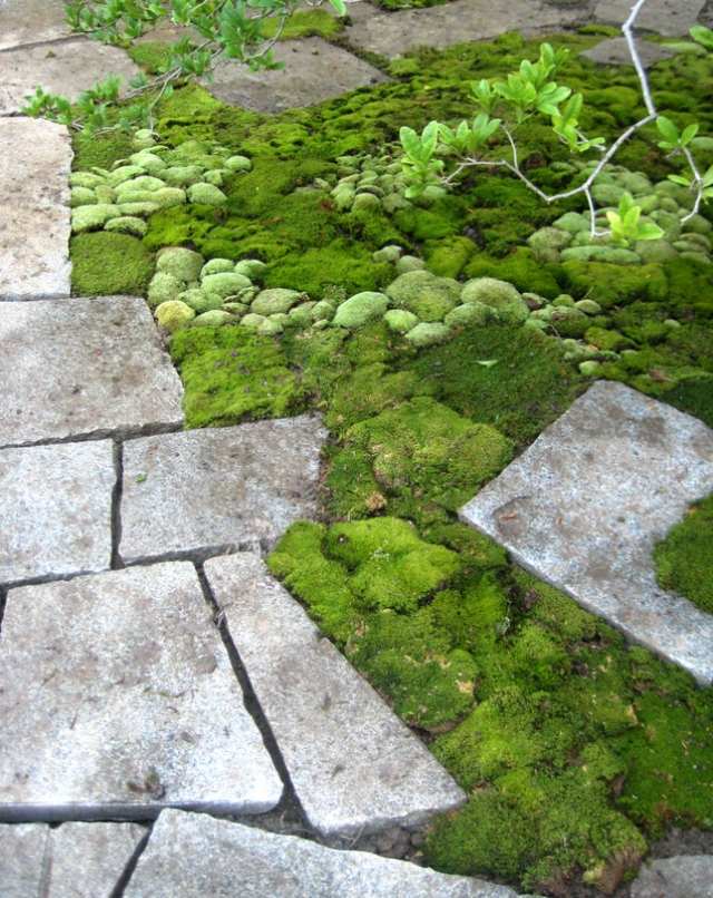 bodenbelag terrasse stein ideen moos naturstein kombination