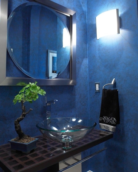 bonsai baum modern badezimmer blau wand glas