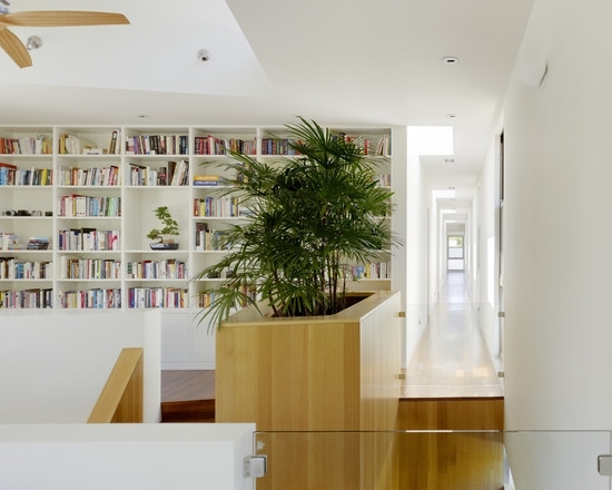 bonsai baum wohnzimmer modern hell regal bücher 