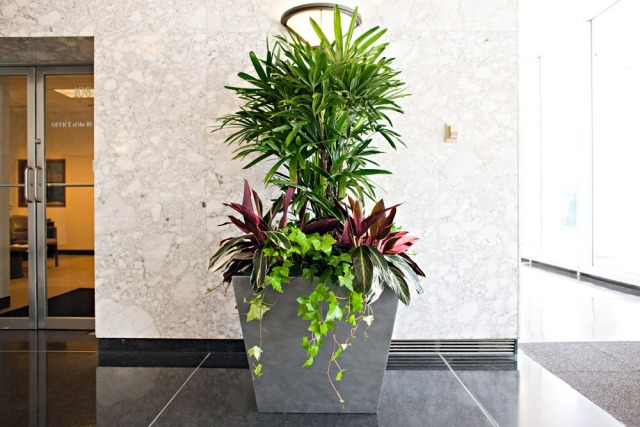 dekorative blumen-pflanzenkübel indoor natur und mensch synthese