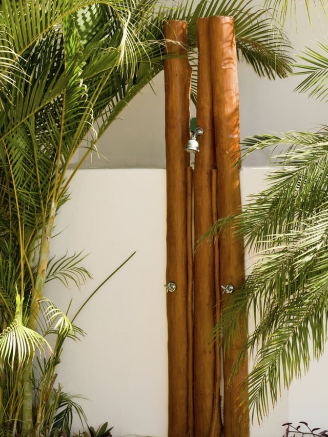 Gartendusche-Bambus Stange Palme Design Konzept