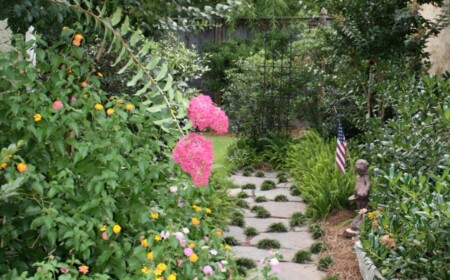 fussweg-garten-stein-gartengestaltung-idee