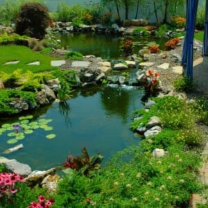 grüner garten-anlegen teich trittsteine-wege pergola schatten