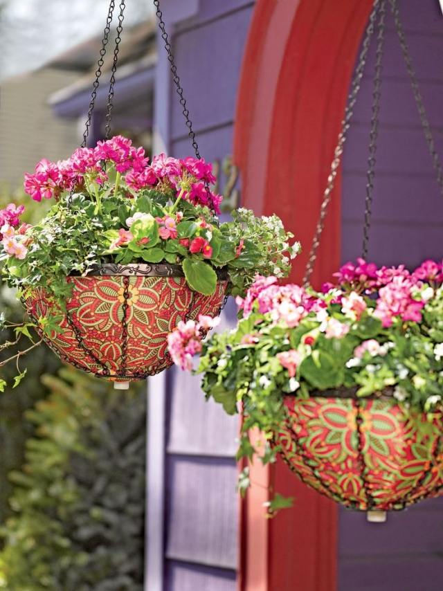 Hängepflanzen in Blumenampeln balkon dekoriert metall ketten