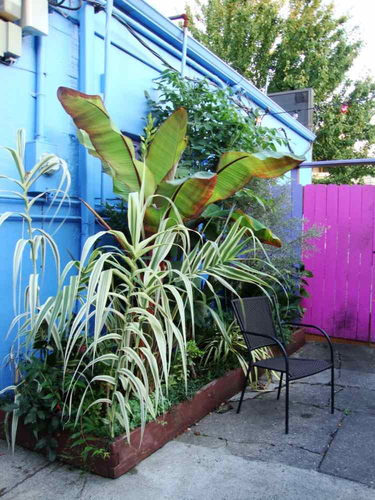 ideen-balkon-gestaltung-ziergraser-sichtschutz-zaun-mauer-farbig-pflanzenbeet