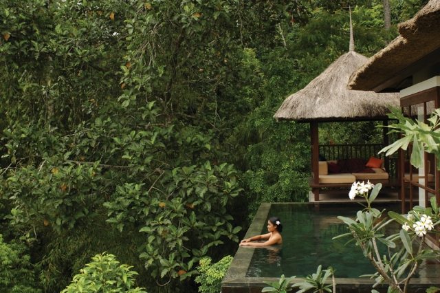 infinity pool waldlandschaft ferienhauser strohdach Ubud Hanging Gardens