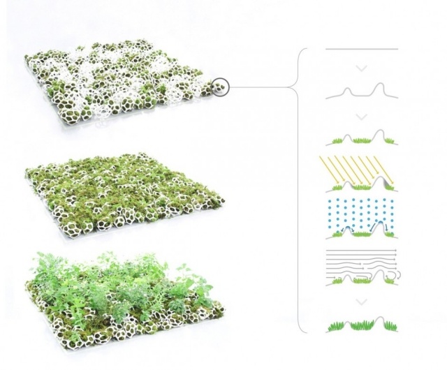innovative technologie-grüner teppich mini-pflanzgefäße für moos pflanzen