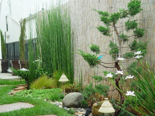 Garten Bambus Sichtschutzzaun originelle Gestaltung Ideen