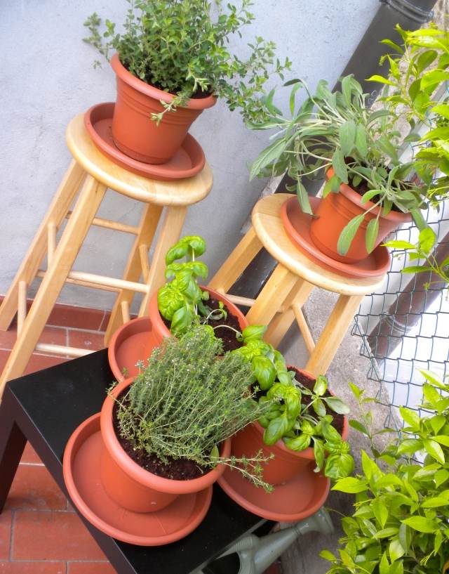 kräutergarten balkon anbauen pflegen welche sorten