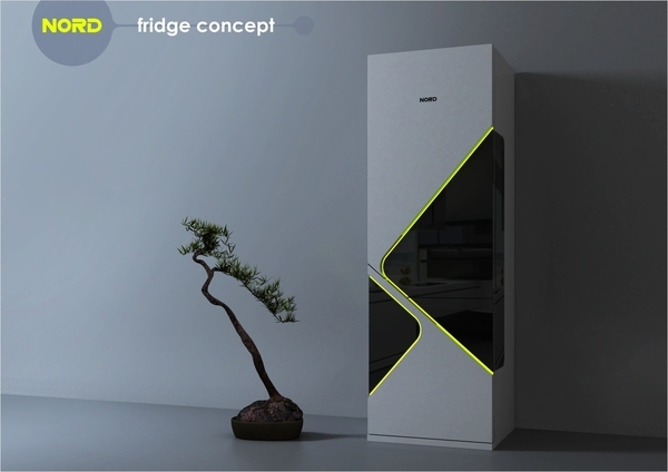 Kühlschrank-Designkonzepte futuristisch innovativ Olga Kalugina